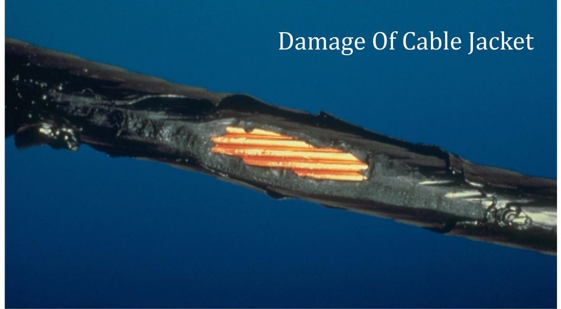 Cable Injury Cable Has Limits! - Care4Cable